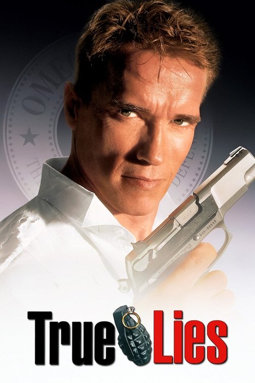 True Lies - Vj Jingo