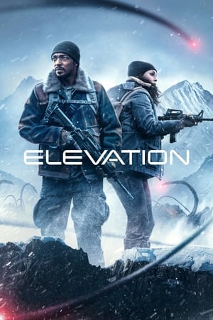 Elevation - Vj Emmy